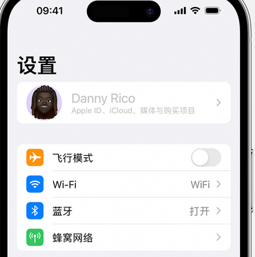 南林乡appleID维修服务iPhone设置中Apple ID显示为灰色无法使用