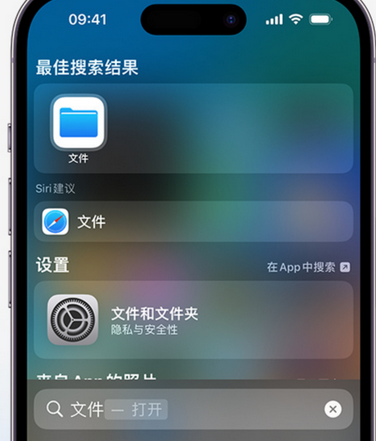 南林乡apple维修中心分享iPhone文件应用中存储和找到下载文件 