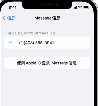 南林乡apple维修iPhone上无法正常发送iMessage信息 