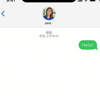 南林乡apple维修iPhone上无法正常发送iMessage信息