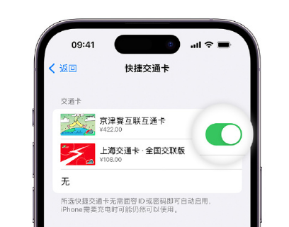 南林乡apple维修点分享iPhone上更换Apple Pay快捷交通卡手绘卡面 