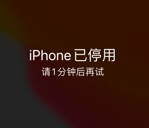 南林乡苹果手机维修分享:iPhone 显示“不可用”或“已停用”怎么办？还能保留数据吗？ 