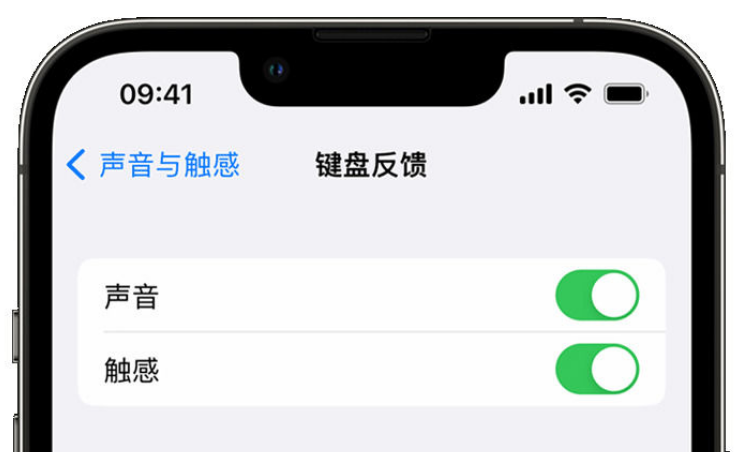 南林乡苹果手机维修分享iPhone 14触感键盘使用方法 