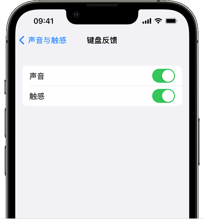 南林乡苹果14维修店分享如何在 iPhone 14 机型中使用触感键盘 