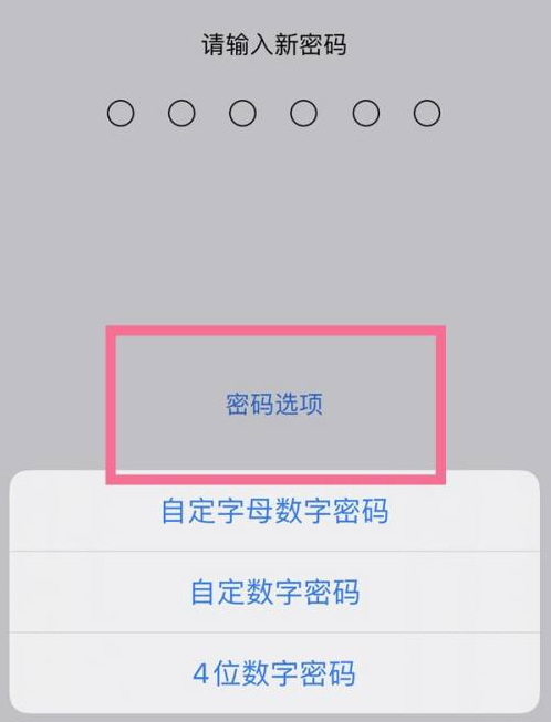 南林乡苹果14维修分享iPhone 14plus设置密码的方法 