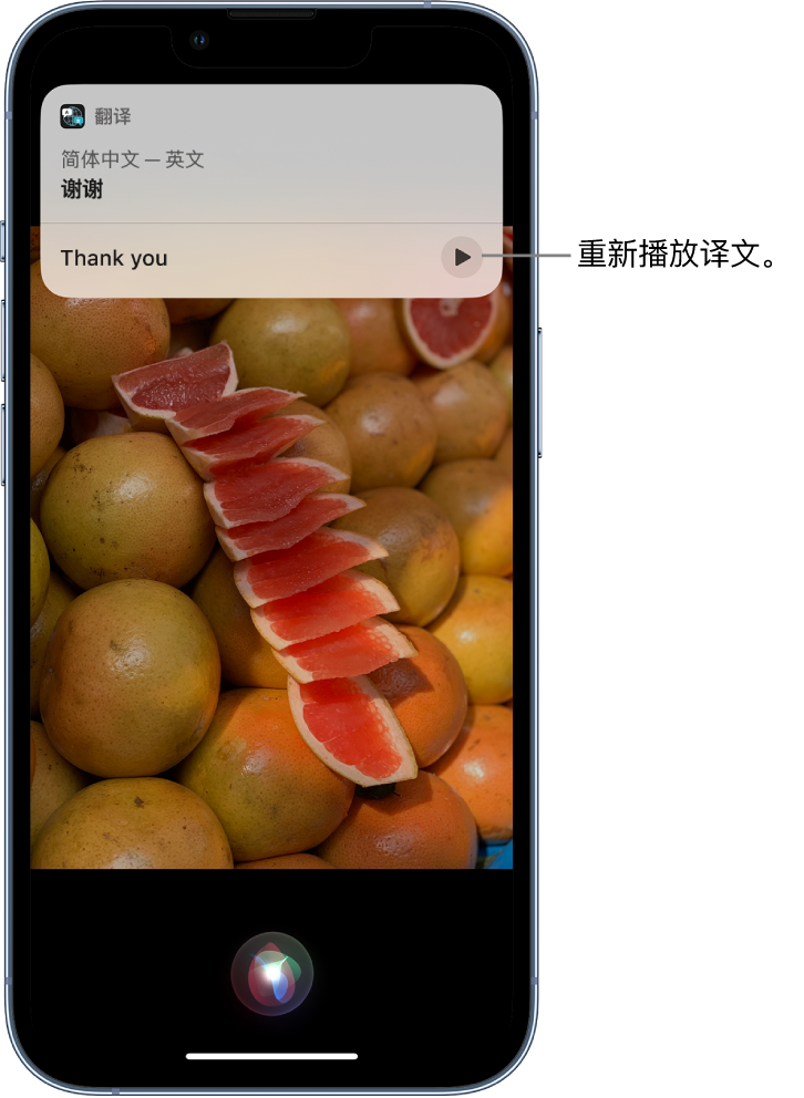 南林乡苹果14维修分享 iPhone 14 机型中使用 Siri：了解 Siri 能帮你做什么 