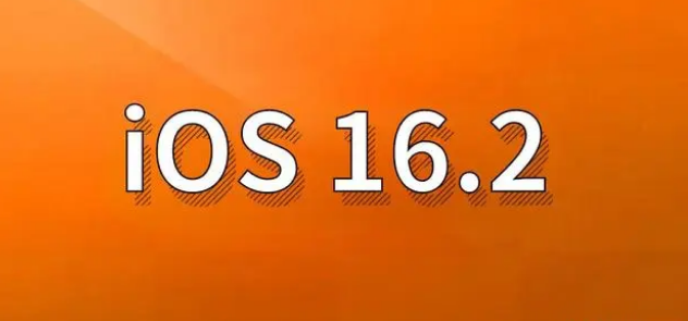 南林乡苹果手机维修分享哪些机型建议升级到iOS 16.2版本 