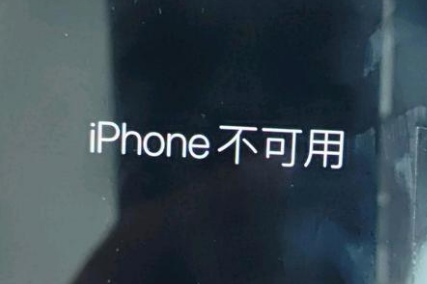 南林乡苹果服务网点分享锁屏界面显示“iPhone 不可用”如何解决 