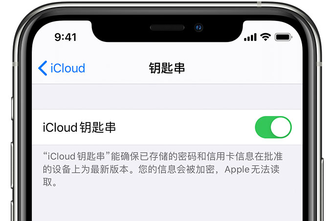 南林乡苹果手机维修分享在 iPhone 上开启 iCloud 钥匙串之后会储存哪些信息 