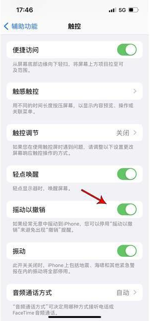 南林乡苹果手机维修分享iPhone手机如何设置摇一摇删除文字 