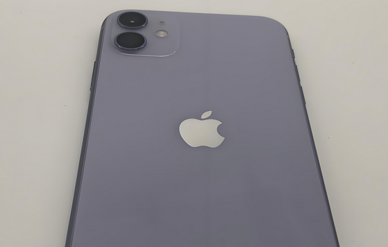 南林乡苹果11系统维修分享iPhone11手机系统崩溃无法开机如何解决 